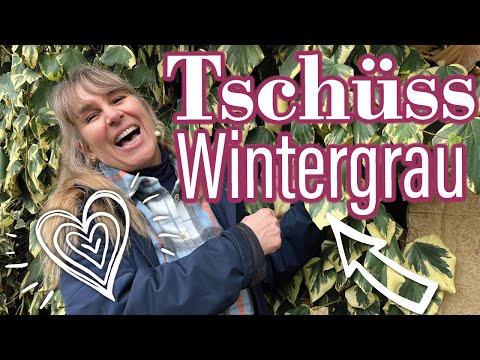 Die schönsten Rote Rosen zum Valentinstag 🌹 | TIPP:  Pflanzen mit hellem Laub