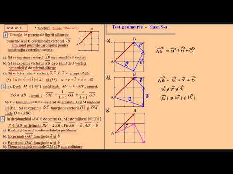 Test nr 1 - Vectori, clasa a IX-a (Stiinte si Mate-info)