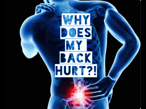 Big Mish Movement Workshop #29: Why Does My Back Hurt?