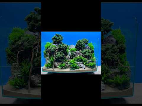 Hardscape with seiryu and spiderwood in tank𝓥𝓲𝓭𝓮𝓸 𝓬𝓻𝓮𝓭𝓲𝓽 : 𝓭𝓮𝓼𝓲𝓰𝓷_𝓫𝔂_𝓽𝓴1 #hardscapedesign #fish