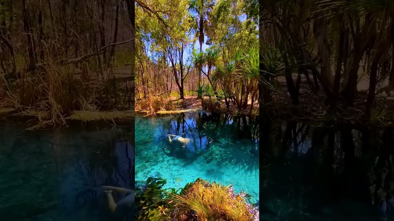 Clean water swimming