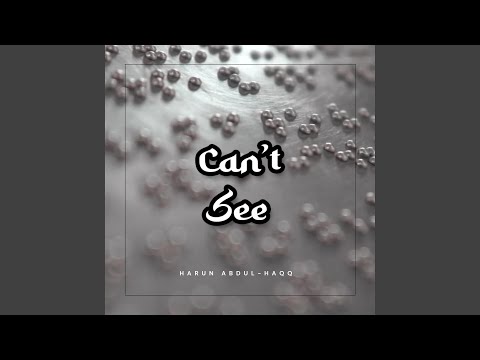 Can't See (feat. Ammar Acapella & Malik Adam)