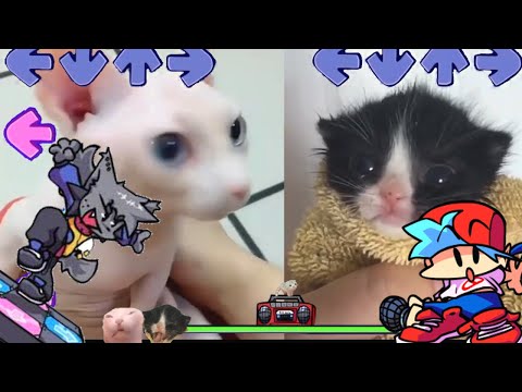 VS Kapi BUT its BINGUS VS TOWEL KITTEN Week - Friday Night Funkin' Custom Animation (HARD)