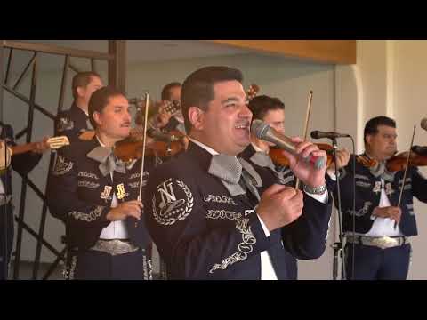 MARIACHI NUEVO TECALITLÁN / SERENATA HUASTECA