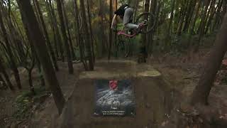 Woody Downhill MTB Chase 3