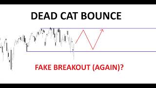 Strategic Stock Picks Amid Market Volatility