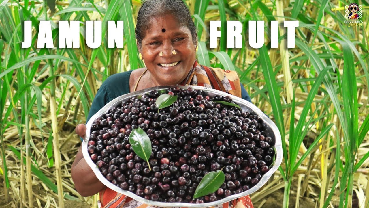 JAMUN FRUIT Harvesting | Naaval Pazham | Fresh BLACK Jamun Fruit | Grandma's own Tree Fruit
