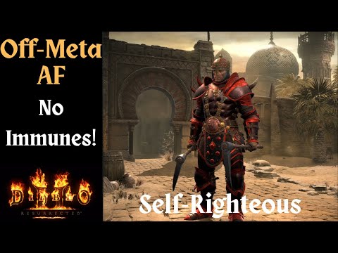 D2:R Self-Righteous Barbarian | Off-Meta Holy Freeze & Holy Shock