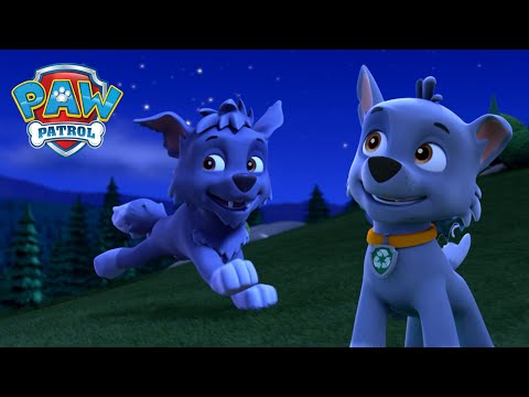 A kutyik kempingezni mennek, és Rocky egy vad farkaskutyiról álmodik! - Mancs Őrjárat - PAW Patrol