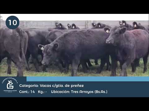 Lote VC CGP -  Tres Arroyos Bs As