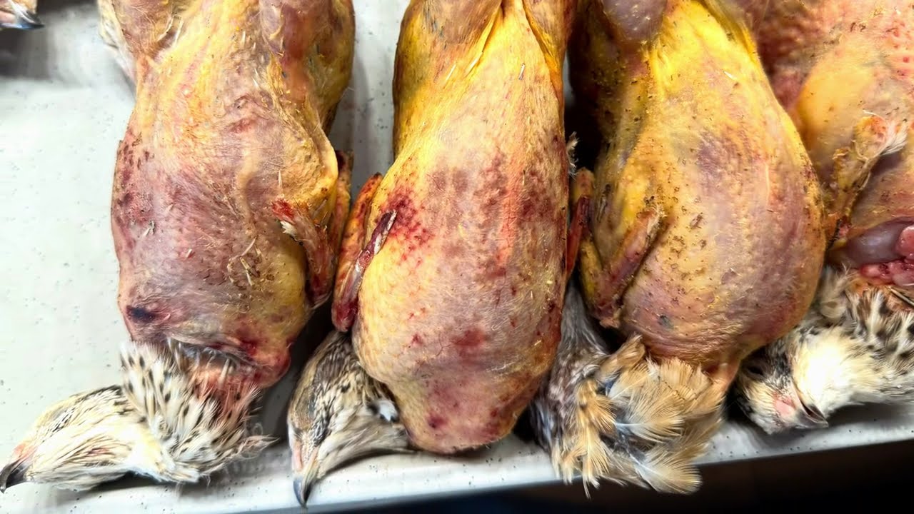 Breaking Down a Quail in One Piece—Once Again/もう一度、鶉の一枚卸し/Encore une foie, la caille en porefeuille
