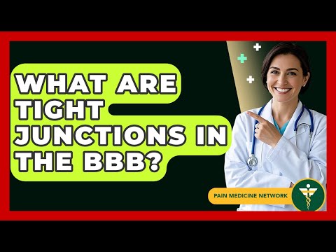 What Are Tight Junctions In The BBB? - Pain Medicine Network