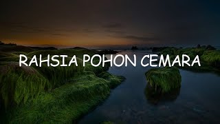 Download lagu Rahsia Pohon Cemara, Ku Di Halaman Rindu, Masih Aku Terasa (Lirik) - Exist mp3