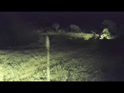 Djuma: Sights and sounds of early morning-including Lions, Wildebeest and Hyenas - 01:58 - 12/16/20