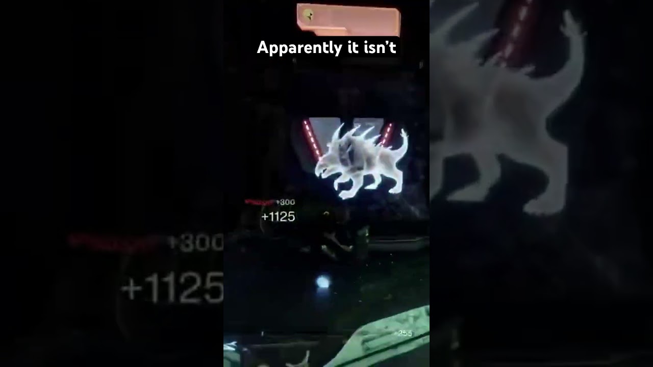 Apparently it isn’t #destinyplayers #destiny2