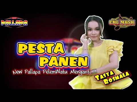 PESTA PANEN Tasya Rosmala NEW PALLAPA MENGANTI GRESIK