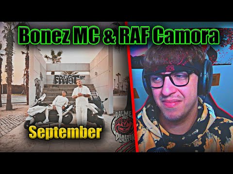 ProjektPi REACTS to Bonez MC, RAF Camora - September