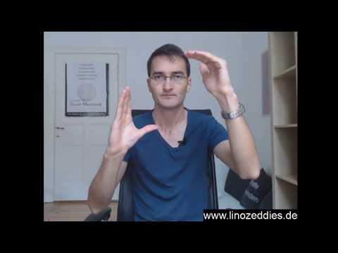 12 Handgesten für effektive Gruppenkommunikation in Meetings und Großgruppen, von Lino Zeddies