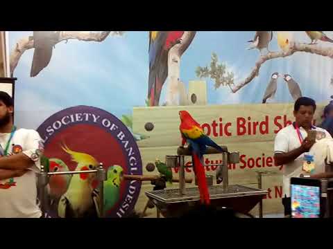 Avicultural society of Bangladesh