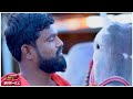 ऑस्करवाडी भाग 68 Oscarwadi EP 68 Marathi Web Series