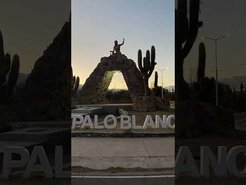Palo Banco al norte de Fiambalá, Tinogasta, Catamarca, Argentina