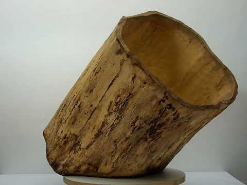 Schräg stehendes Gefäß, Nussbaum, H 68xDm 46 cm (OB 005)