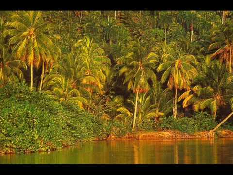 Mi Cocodrilo Verde video