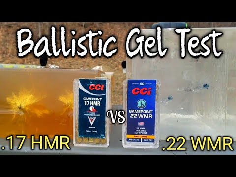 CCI Gamepoint .17 HMR vs .22 WMR .22 Magnum Ballistic Gel Test