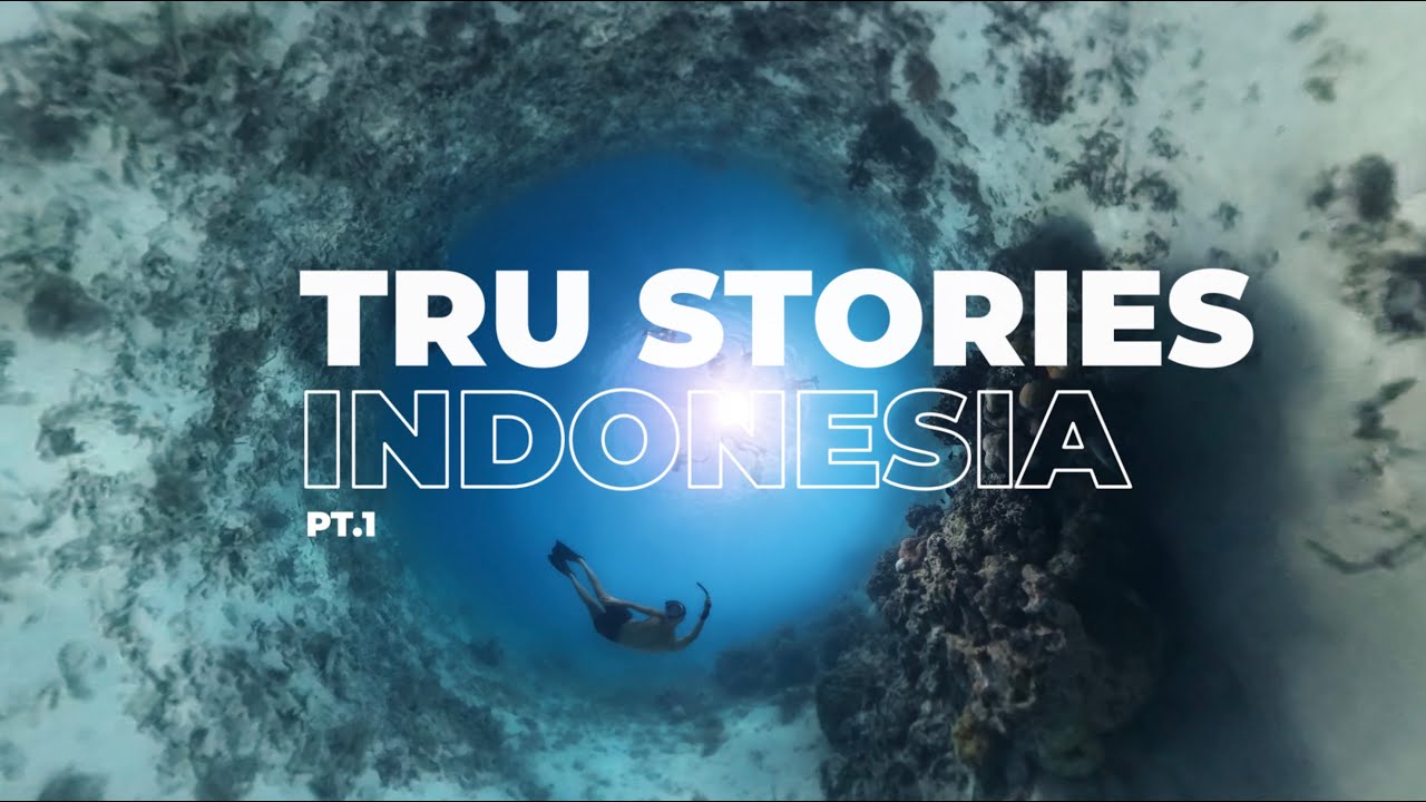 A traveler embarks on an exciting journey to a turtle sanctuary.