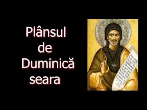 Plansul de DUMINICA seara - Sfântul Efrem Sirul - slujitor Dani