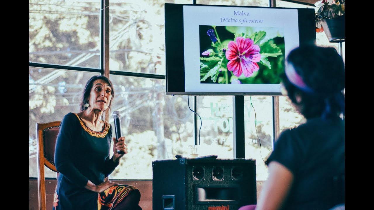 "Las plantas, antiguas sanadoras" - Dra. Sara Itkin - Charlas FermenFest 2022