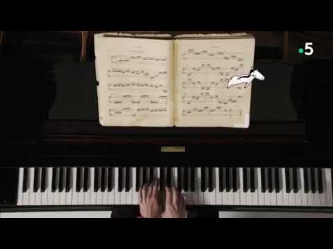 Le carnaval des animaux. Hémiones. Camille Saint-Saëns.