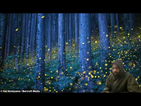 Lord of the Fireflies (Death Grips X Owl City)