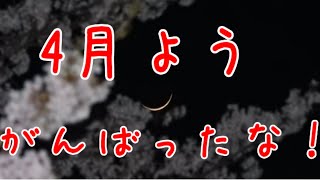 【女性向けボイス】【関西弁】4月よくがんばったので褒めたい【シチュボ】