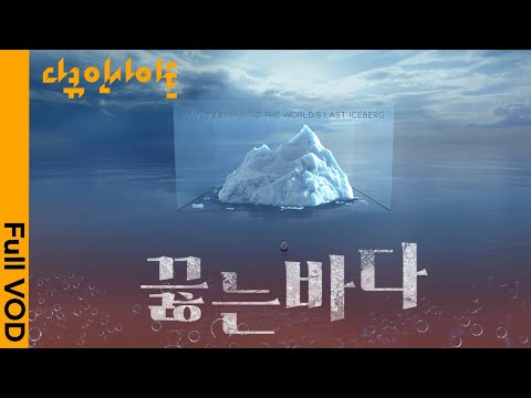 뜨거워진 바다가 우리 삶을 위협한다!  전세계에서 벌어지는 ‘극한의 이상기후’ㅣ KBS 다큐인사이트 23.07.13 방송