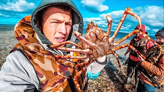 Салюс рыболовная компания сахалин
