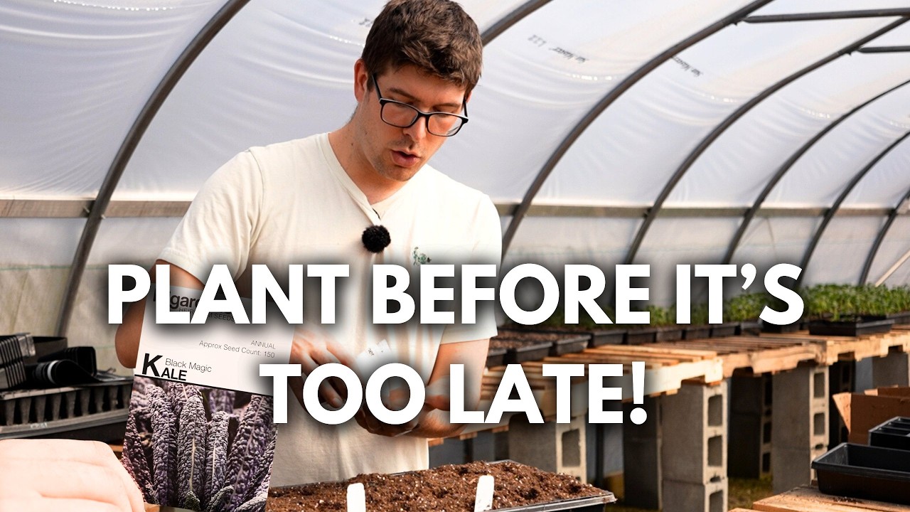 It's Time! Seeds to Start NOW in Mid March!