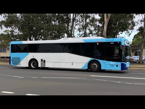 Interline Bus Services: m/o 7042 - Mercedes OC500LE Bustech VST