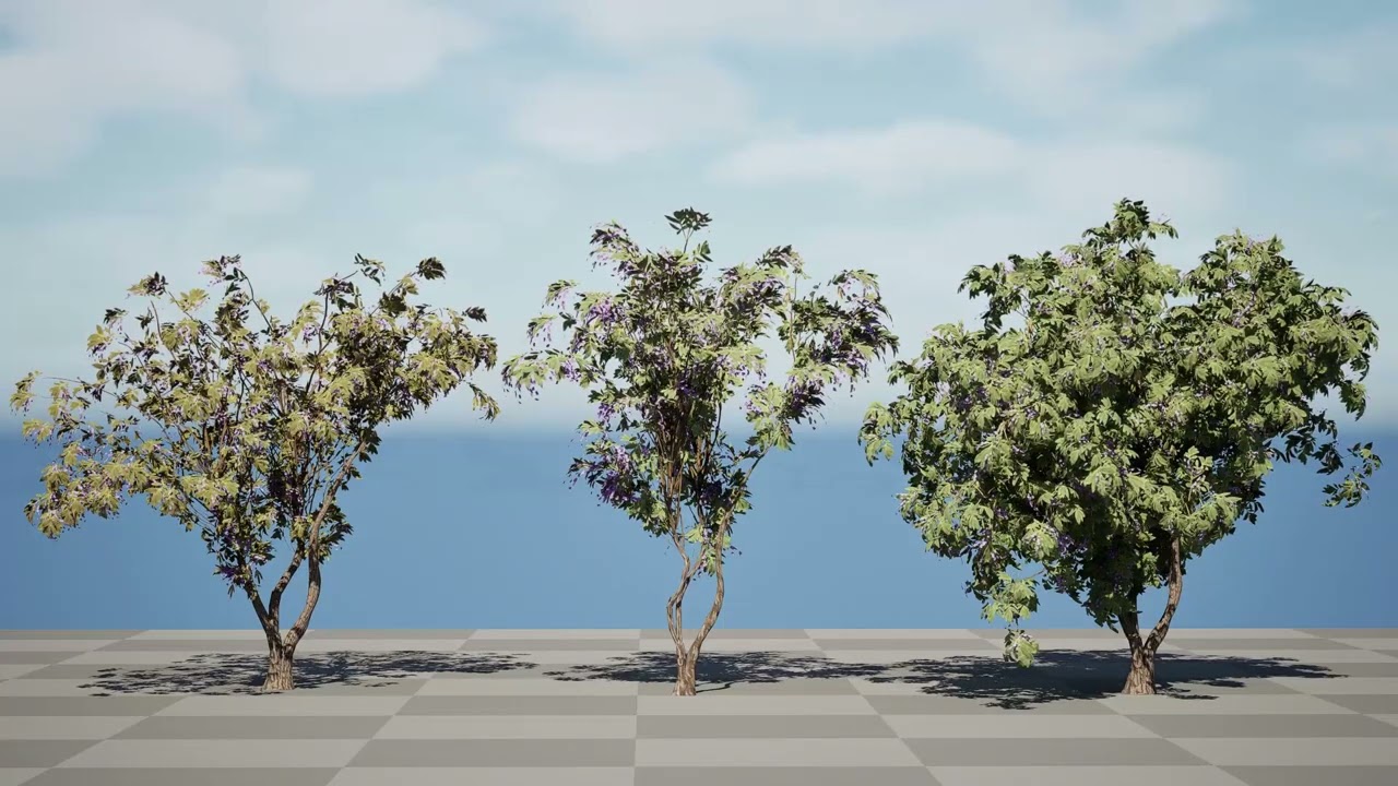 South African Tree Wisteria Collection 3D Model