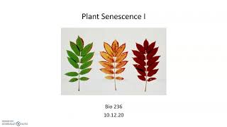 Plant Senescence Basics