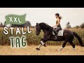 NEUE WEGE ERKUNDEN Tino Reiten VLOG 88