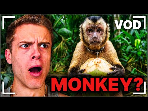 Reacts Day #446 | Joe Bartolozzi