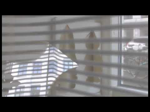 Light shines from inside