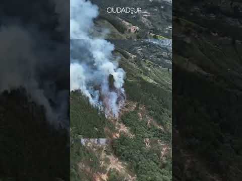 Grave incendio en Antioquia: las llamas consumieron 8 hectáreas de reserva natural en La Estrella