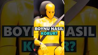 Otomobil Koltuk Başlığı Boynu Nasıl Korur?