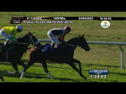 220904 c04 JOHAN (BRZ)