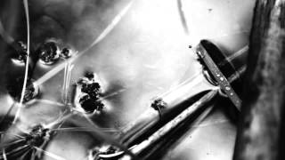 Octopus Kraft (Teaser)