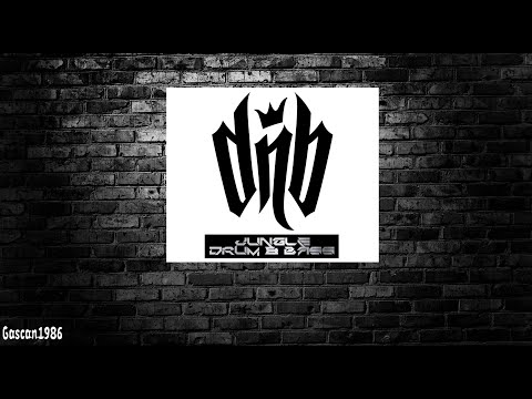 Classic Old Skool Jungle Drum and Bass Mix #9.1 Shy FX / Aphrodite / DJ Hype / Congo Natty / DJ Die