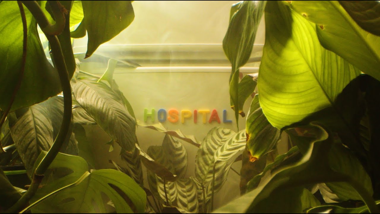 Logistics - Jungle Music (DRS & Dynamite x Logistics Remix) Official Video