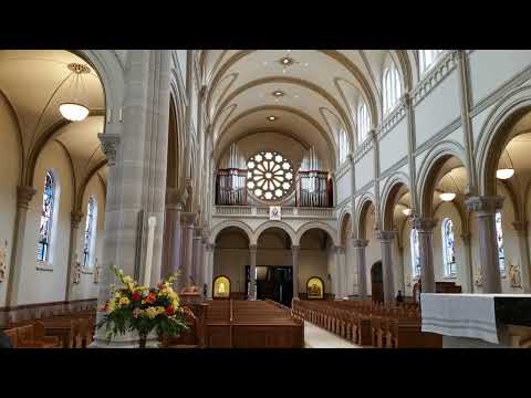 Alleluyas (Simon Preston)